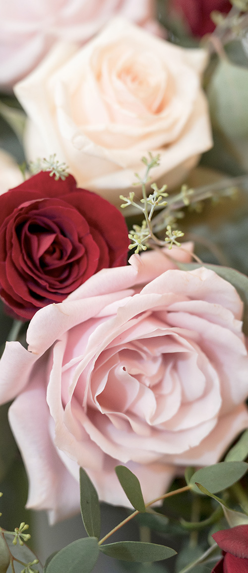 Wedding Roses